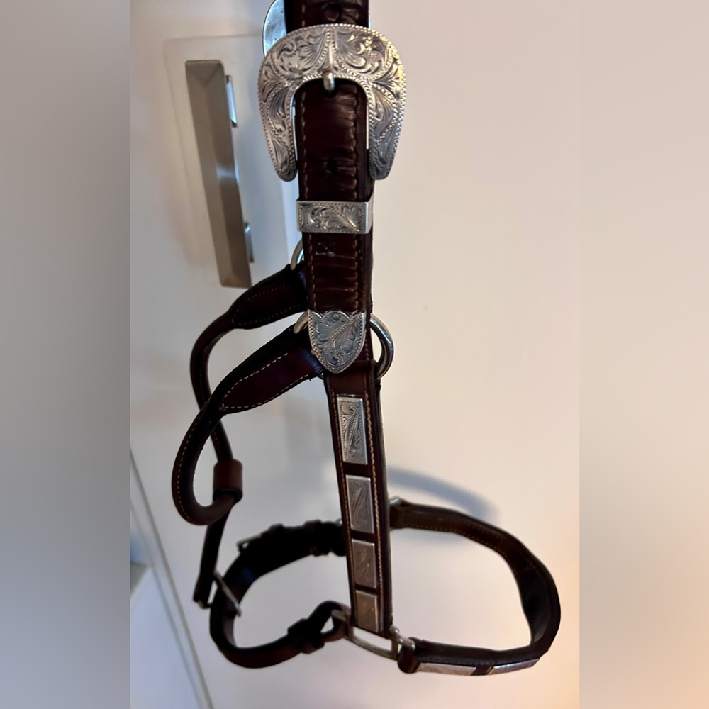 Horse sized show halter and lead